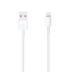 Apple Câble Lightning vers USB