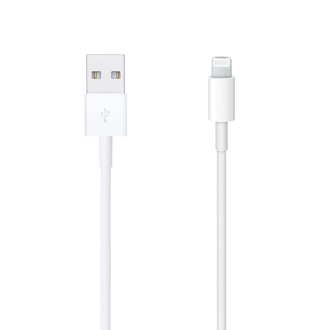 USB-1-1-pdf.jpg Apple Câble Lightning vers USB - Image 1