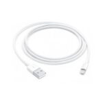 Apple Câble Lightning vers USB - Image 2