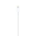 Apple Câble Lightning vers USB - Image 3